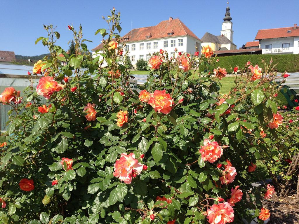 Appartamento Haus Rose Wenigzell Esterno foto